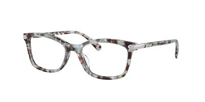 Coach Woman Seaglass Tortoise