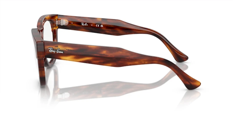 Ray-Ban Unisex Striped Havana