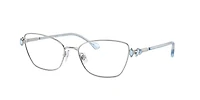SK1006