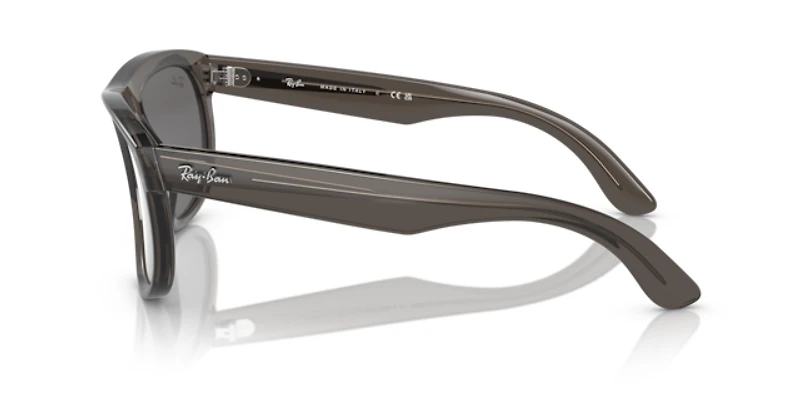 Ray-Ban Unisex Transparent Dark Grey