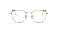RB3857V Frank Optics