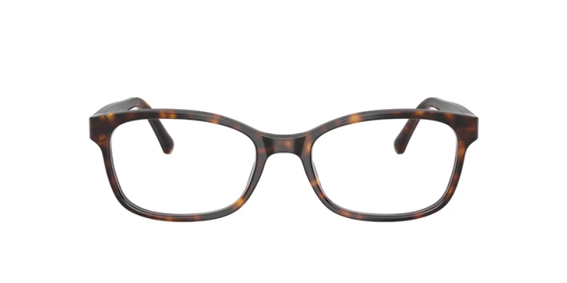 Burberry Woman Dark Havana
