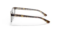 Ray-Ban_Lenses Unisex Dark Havana
