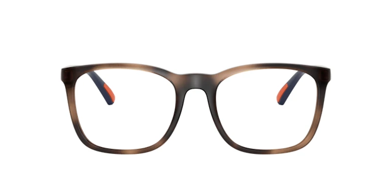 Polo Ralph Lauren Man Shiny Dark Havana