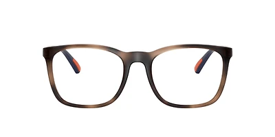 Polo Ralph Lauren Man Shiny Dark Havana