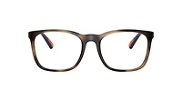 Polo Ralph Lauren Man Shiny Dark Havana