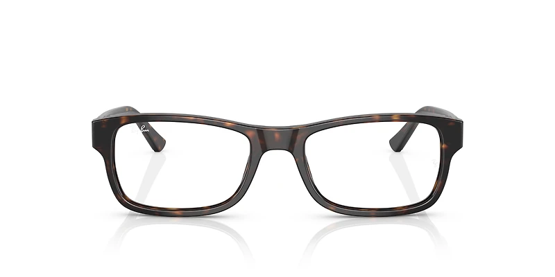 RB5268 Optics