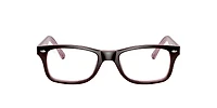 RB5228 Optics