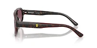 Scuderia Ferrari Man Burgundy Havana