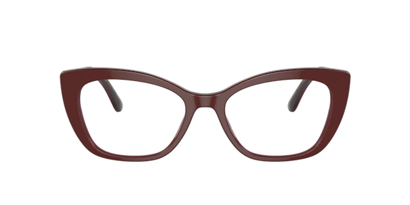Dolce&Gabbana Woman Bordeaux, Transparent Bordeaux