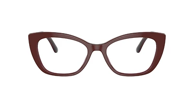 Dolce&Gabbana Woman Bordeaux, Transparent Bordeaux