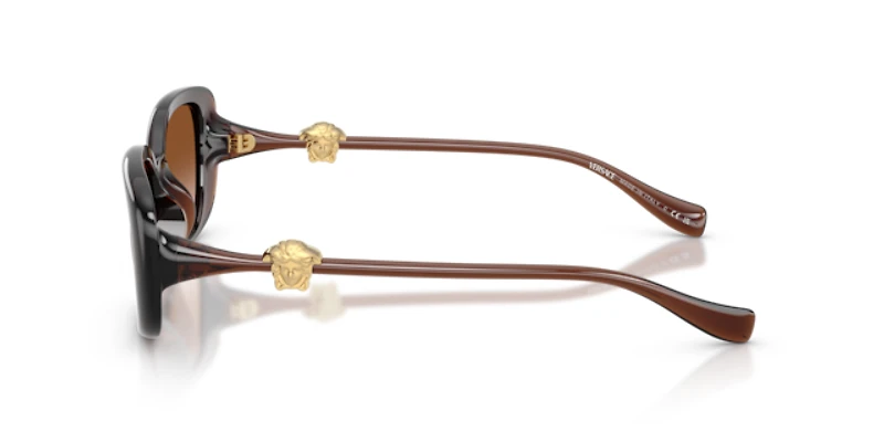 Versace Woman Transparent Brown