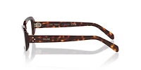 Celine Woman Tortoise