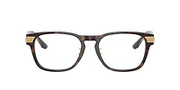 Ferrari Man Tortoise Brown