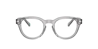 Polo Ralph Lauren Man Shiny Transparent Grey