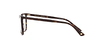 Gucci Woman Tortoise