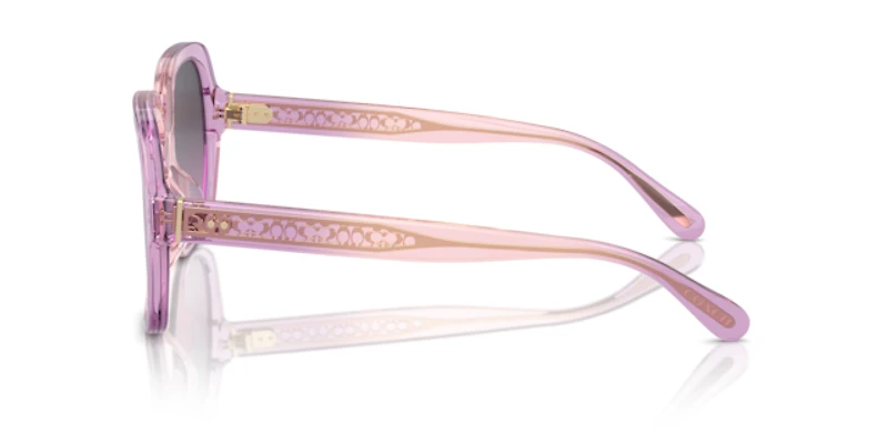 Coach Woman Amethyst, Pink Gradient