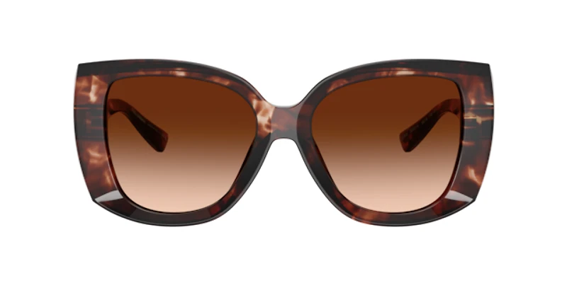 Dolce&Gabbana Woman Dark Red Havana