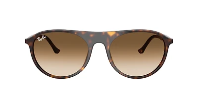 Ray-Ban Unisex Havana