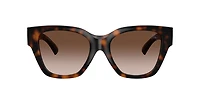 Burberry Woman Dark Havana