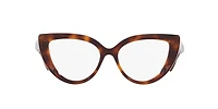 Gucci Woman Tortoise