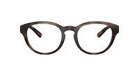 Polo Ralph Lauren Man Matte Dark Havana