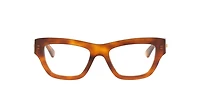 Bottega Veneta Woman Tortoise Brown
