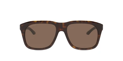 Gucci Man Tortoise
