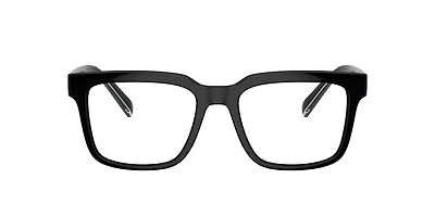 DG5101