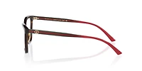 Gucci Woman Tortoise