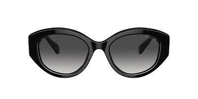 SK6005