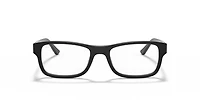 RB5268 Optics
