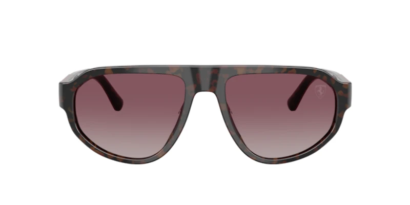 Scuderia Ferrari Man Burgundy Havana