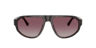 Scuderia Ferrari Man Burgundy Havana