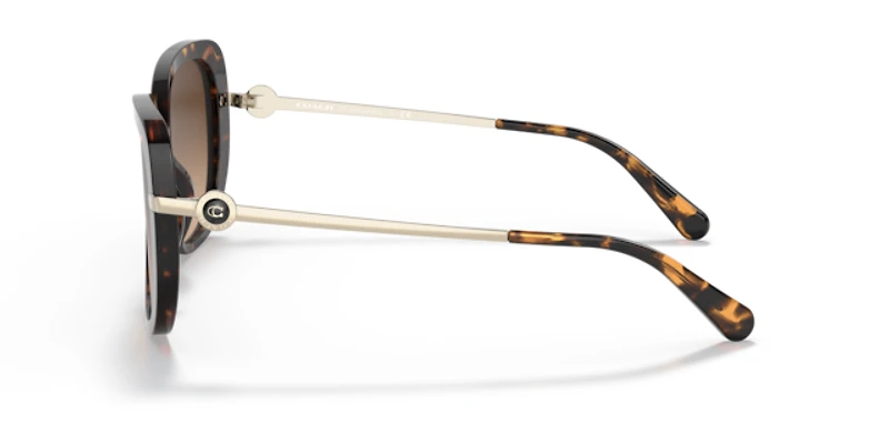 Coach Woman Dark Tortoise