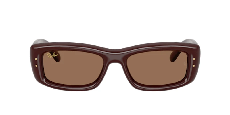 Ray-Ban Unisex Transparent Dark Brown
