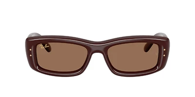Ray-Ban Unisex Transparent Dark Brown