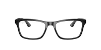 RB5279 Optics