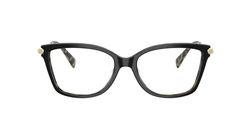 Michael Kors Woman Black, Amber Tortoise