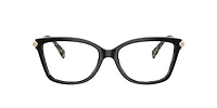 Michael Kors Woman Black, Amber Tortoise