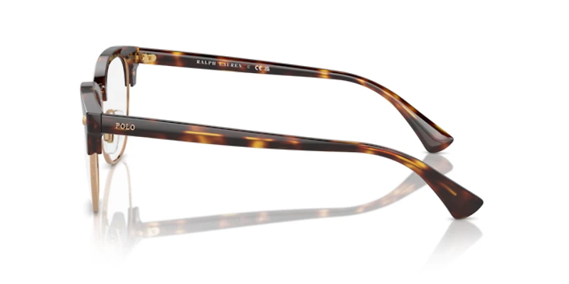 Polo Ralph Lauren Man Shiny Brown Tortoise
