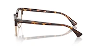 Polo Ralph Lauren Man Shiny Brown Tortoise