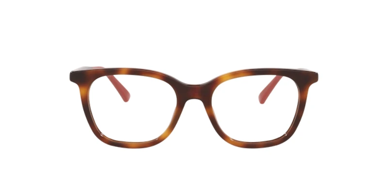 Gucci Woman Tortoise