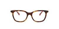 Gucci Woman Tortoise
