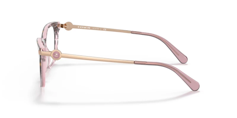 Coach Woman Rose Tortoise Gradient