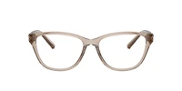 Armani Exchange Woman Shiny Transparent Brown