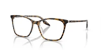 RB5422 Optics