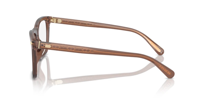 Coach Man Transparent Pecan