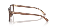 Coach Man Transparent Pecan