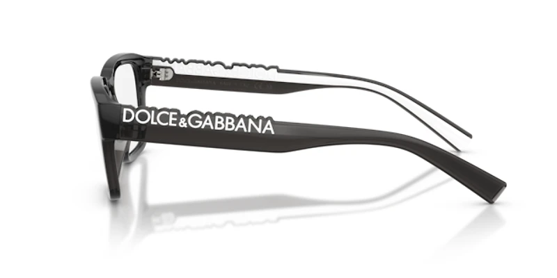 Dolce&Gabbana Unisex Transparent Dark Grey